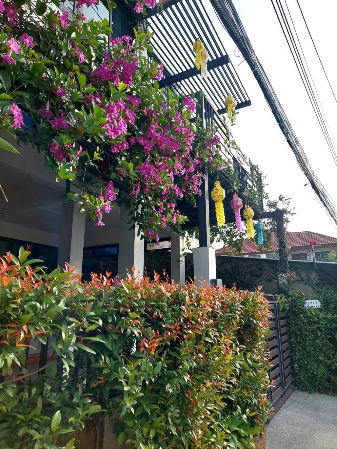 치앙마이 Ld8 House Private Pool Perfect Groups -Families Chiangmai 빌라 외부 사진